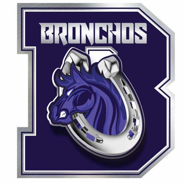 Bronchos fall in area playoffs